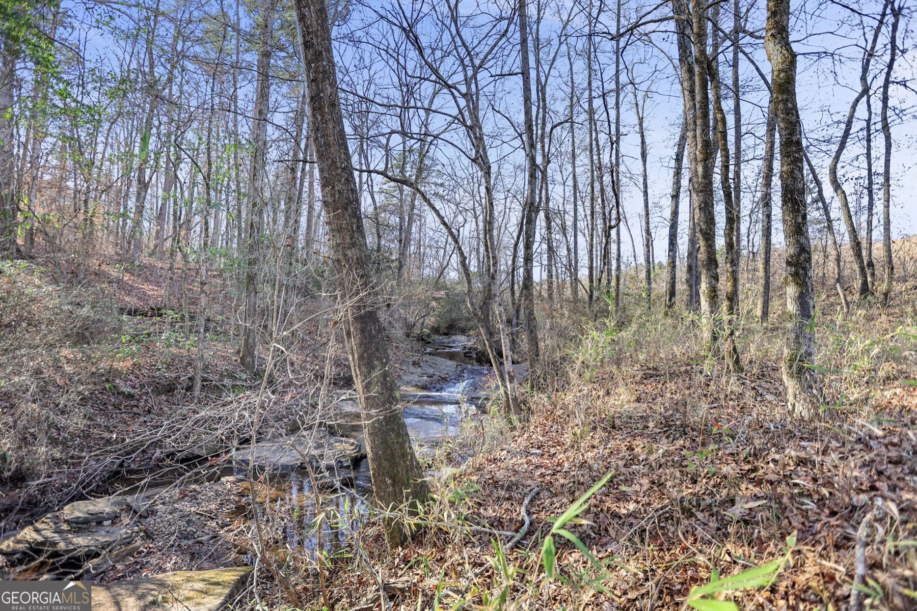 Creek running through the property, 52.2 AC Franklin Pkwy, Franklin, GA